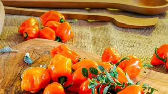 Explore 5 Delicious Culinary Taste Trails.