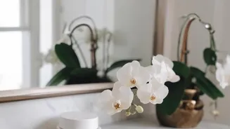Ancient Beauty Rituals Are Revealed