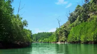 Travel Green: Eco-Expeditions Help the Planet
