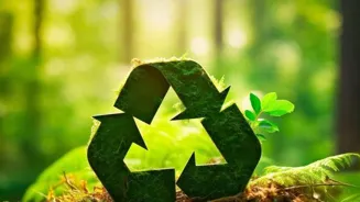 Go Green: 7 Eco Tips for a Greener Life