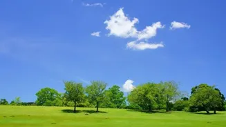 Take a Break: Improve Your Mental Health Now