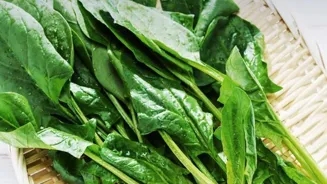 Eat Calcium-Rich Foods for Stronger Bones