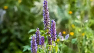 Grow Herbs at Home for a Flavorful Garden!
