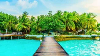 Travel Sustainably: Follow These 7 Eco Tips