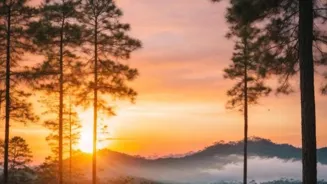 Love Camping? Read These Campsite Stories.