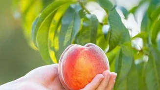 Enjoy Your Food: Eat Mindfully for Pleasure