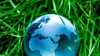 Purpose Drives Sustainable Leadership Success