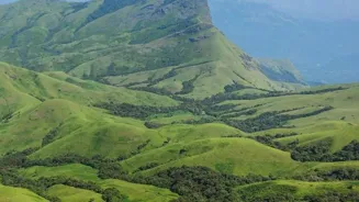Explore the Wildlife Wonders of Western Ghats