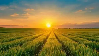 Harvest Season: 10 Ways It Boosts Your Health