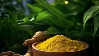 Spice Up Indian Food This Season!