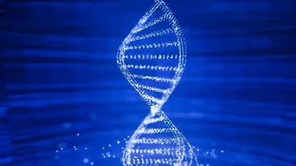 Genetic Engineering: A Blessing or a Curse?