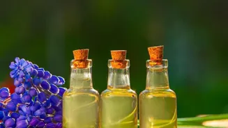 Essential Oils Can Improve Your Well-being.