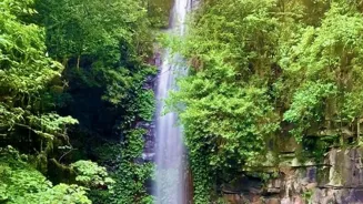Get Well: Go Outdoors for a Wellness Boost.