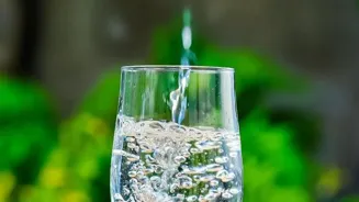 Water Boosts Wellness: Explore Its Benefits