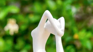 Meditation's Secrets Are Now Revealed!