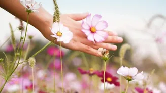 Allergy Relief: Simple Tips To Reduce Triggers