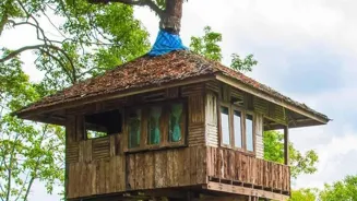 Uncommon Stays: Castles and Treehouses Await