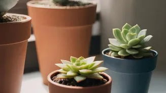 Houseplants Bring Glory to Indoor Gardens