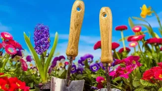 Gardening Is Fun For The Whole Family
