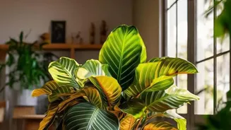 Grow Your Indoor Garden in an Apartment!