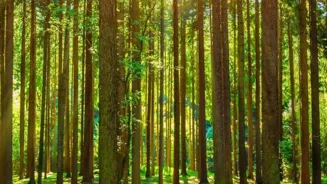 Top 10 Tips For Earth-Friendly Eco-Excursions