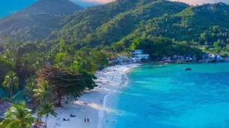 Thrill Seekers: Plan Your Next Adventure Trip