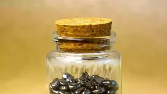 Zinc Boosts Immunity: A Key to Staying Healthy