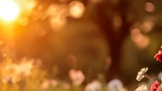 Discover 7 Secrets To Improve Your Life