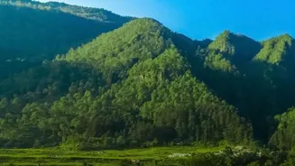 Travel Sustainably for a Greener World