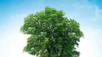 Is Corporate Social Responsibility Just a Show?