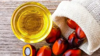 Omega-3s: A Delicious Dive into Dietary Health