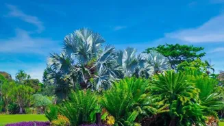 Bloom Your City Garden This Monsoon: 5 Steps