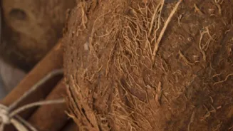Is Coconut Good or Bad? Unveiling the Truth.