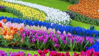 Bloom All Year: Your Gardening Guide Is Here.
