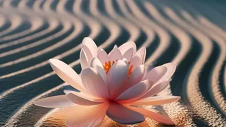 Live a mindful life by mastering each moment.
