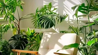 Secrets to Eco-Friendly Living Success!
