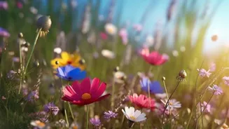 Light Up Your Life: Health and Happiness Tips