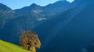 Capture Your Travel Tales Through Photography