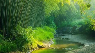 Meditation's Secrets Are Finally Revealed