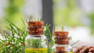 Essential Oils: Skincare Secrets Revealed