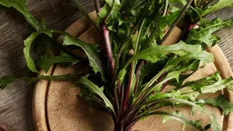 Nature's Ancient Herbal Remedies Unveiled