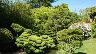 Find Mindfulness in Your Garden Work