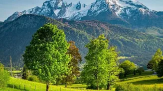 Get Healthy and Happy by Thriving Outdoors