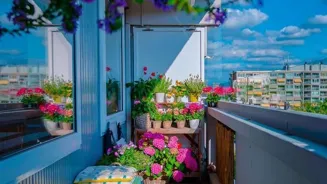 Grow Your Own Green Oasis on Your Terrace.