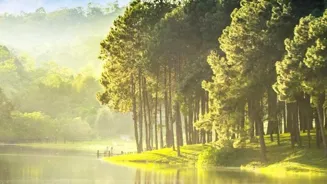 Think Positive: Simple Ways to a Brighter Day