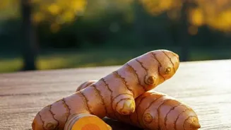Turmeric Boosts Your Health and Wellness.