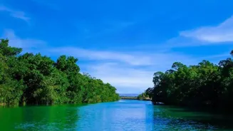 Travel Responsibly: A Guide to Eco Adventures