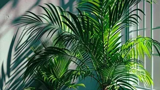 Clean Your Home With The Power Of Plants