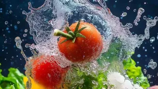 Fill Nutritional Gaps for Better Health
