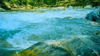 Nature Can Boost Your Health In 7 Ways
